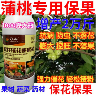 蒲桃保花保果药催花授粉坐果灵果树防落素瓜果蔬菜增产专用叶面肥