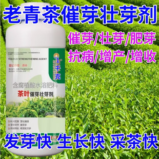 老青茶叶面肥茶叶催芽剂催芽长嫩绿抗寒抗冻催芽素生长素叶面肥料