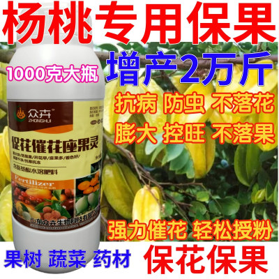 杨桃保花保果药催花授粉坐果灵果树防落素瓜果蔬菜增产专用叶面肥