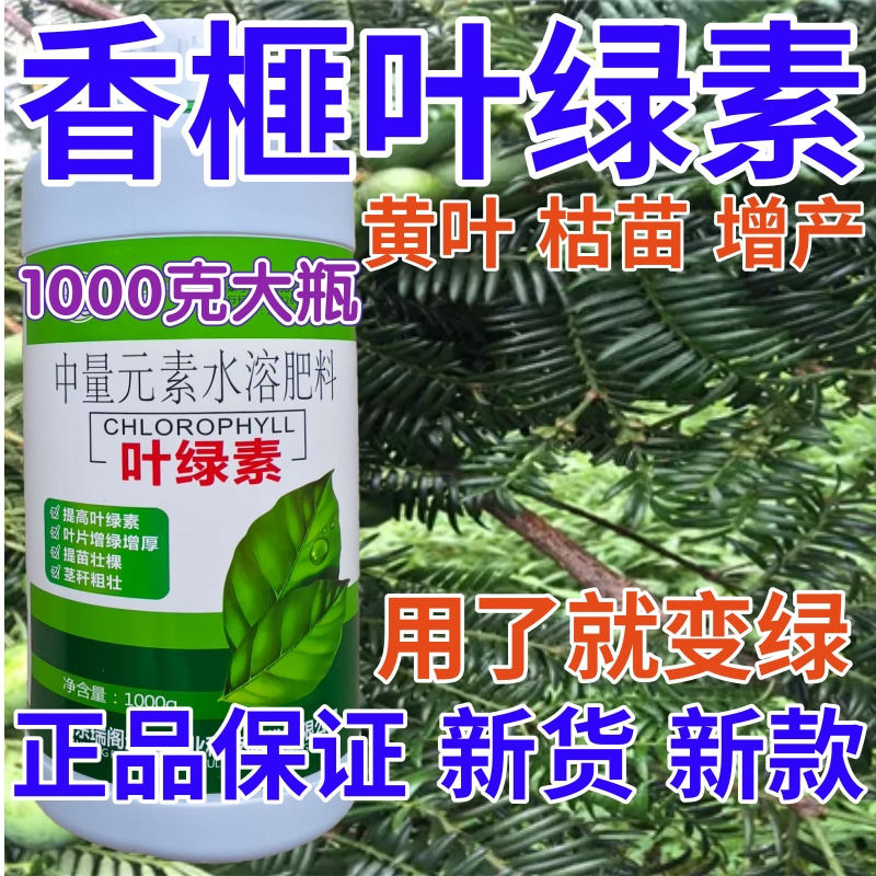 香榧叶绿素叶面肥植物肥料增绿增厚花卉果树蔬菜黄叶死苗水溶肥料