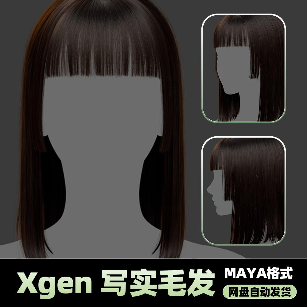 Xgen女性毛发国风现代美女人物角色发型泡面头maya3D模型丸子头