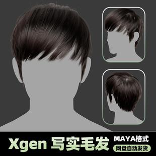 Xgen男性毛发国风现代人物角色发型短帅气maya3D模型丸子头groom