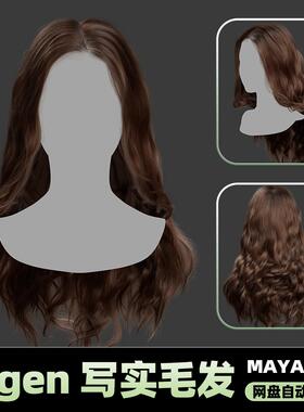 Xgen女性毛发国风现代美女人物角色发型泡面头maya3D模型丸子头