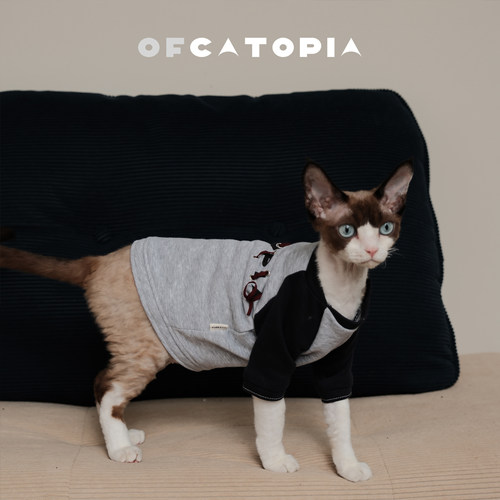 OfCatopia 亲肤质感经典插肩T恤德文无毛阿比猫猫狗狗宠物衣服