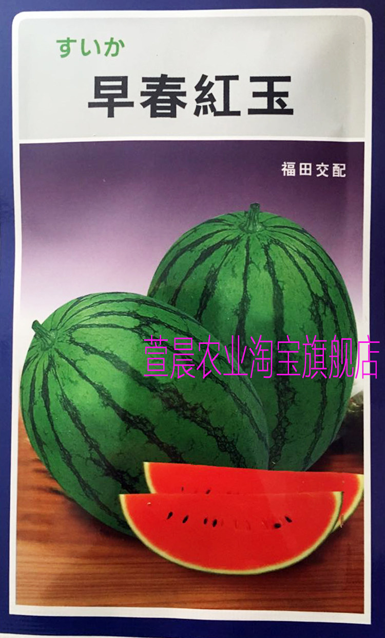 日本进口福田交配 早春红玉 礼品型西瓜种子菜园大田种植春播促销