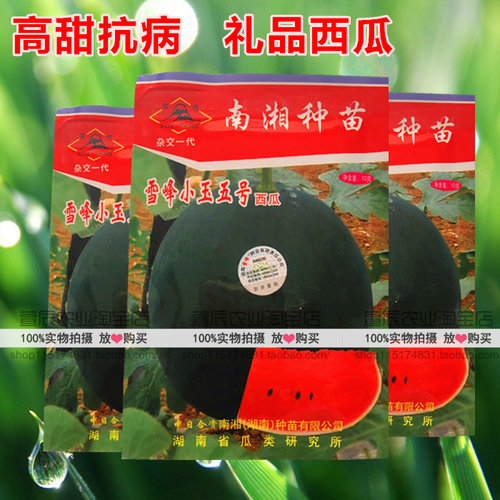 植株生长势中等偏强，抗病性强，座果性好，单株座果2个左右，果实球形，果皮黑色有极少许绿斑点，皮厚0.5cm 。果皮硬，不裂果。