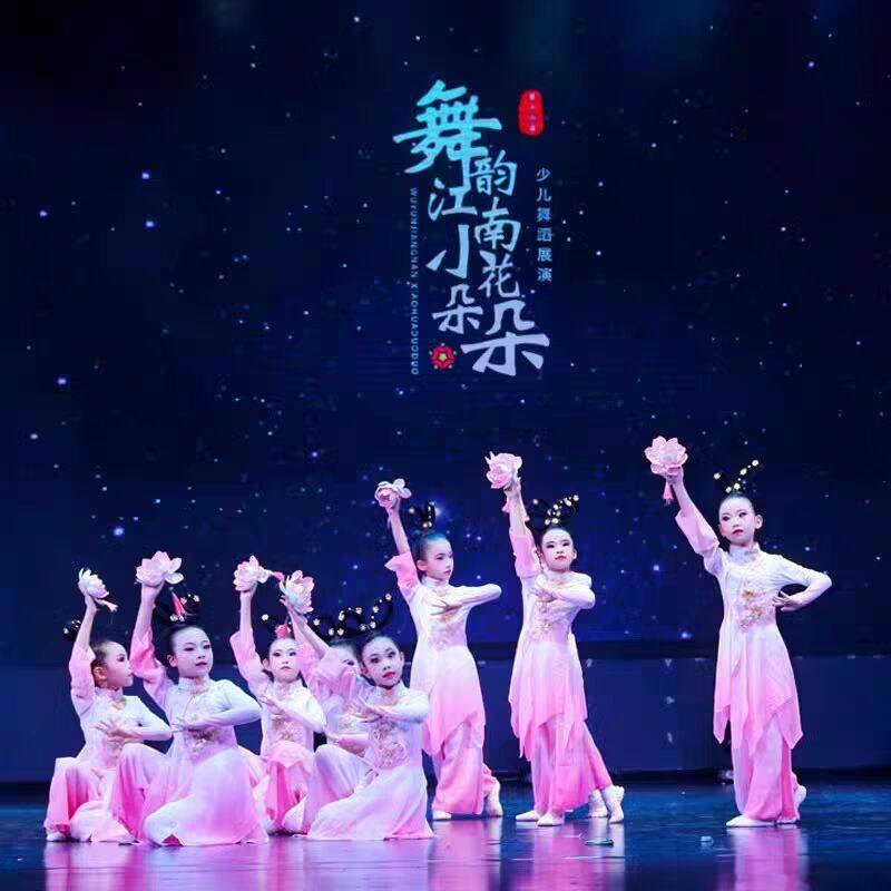 小泱荷古典舞演出服手拿荷花道具中国风飘逸身韵纱衣练功服舞蹈服