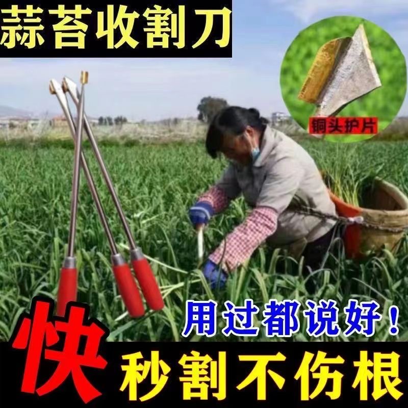 蒜苔收割刀抽蒜薹神器抽蒜苔的工具蒜薹收割刀划剥蒜苔神器蒜薹刀