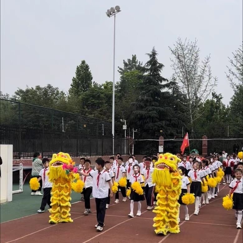 成人儿童南师北狮醒狮服装小狮子头整套运动会单人舞龙舞狮道具