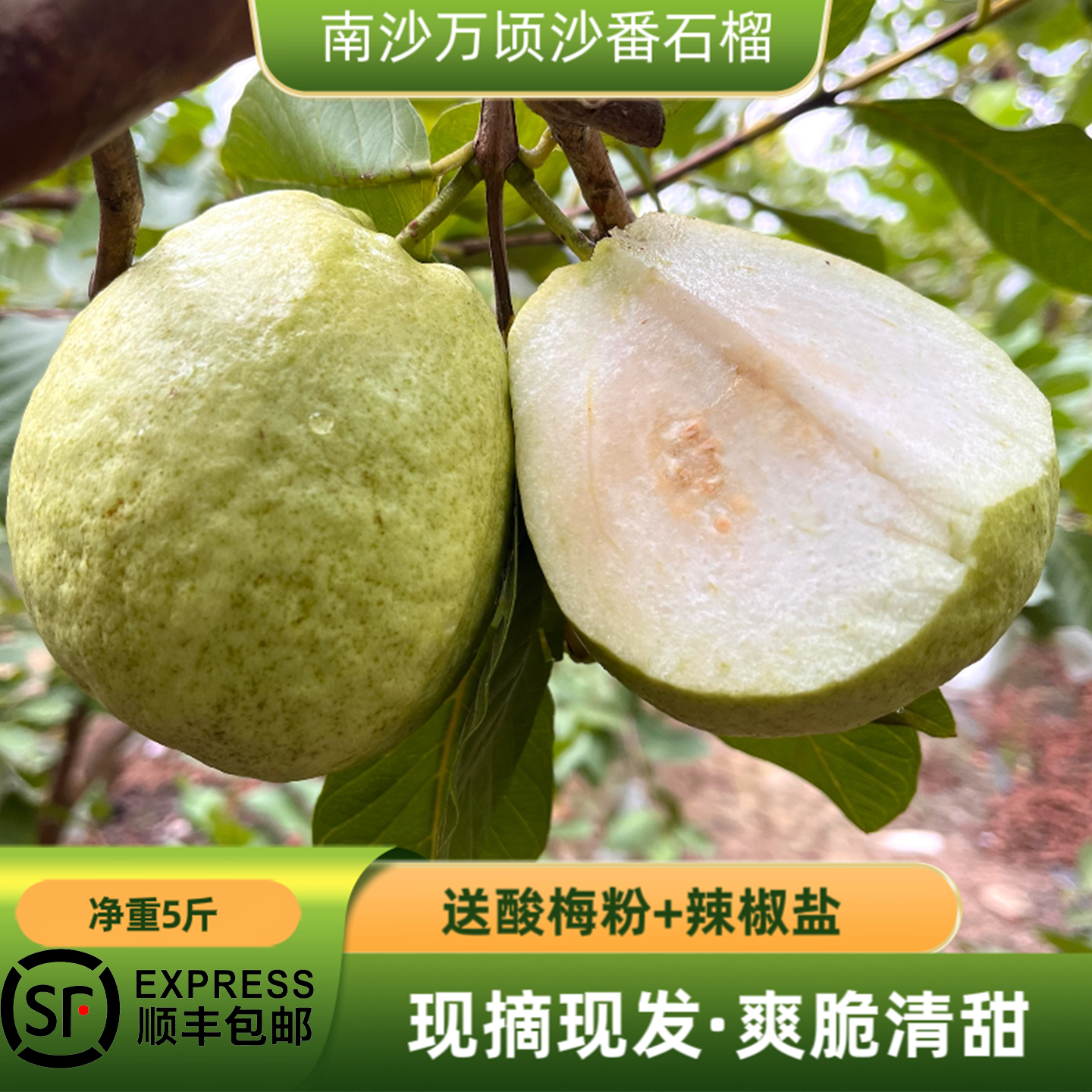 顺丰包邮广东本地南沙红心脆番石榴奶油巴乐孕妇草莓芭乐水果新鲜