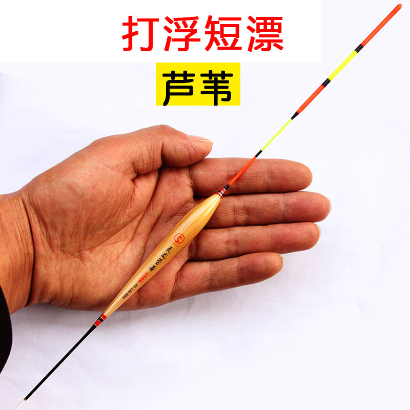 打浮芦苇短漂防爆顶青鱼大物漂