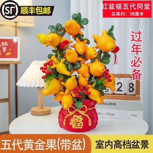 五代同堂黄金果盆景客厅装饰品店庆开业摆件真花真果盆栽招财进宝