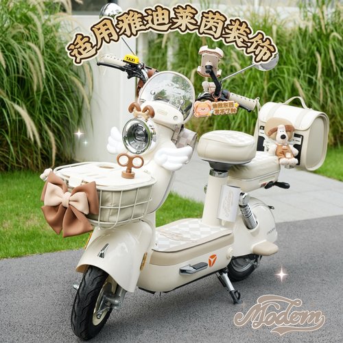 适用雅迪摩登莱茵脚垫后备箱挂包