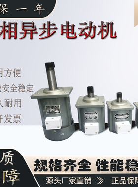 B112Z-II  YDT400-2 400W 液压抱闸电机三相异步电动机全铜