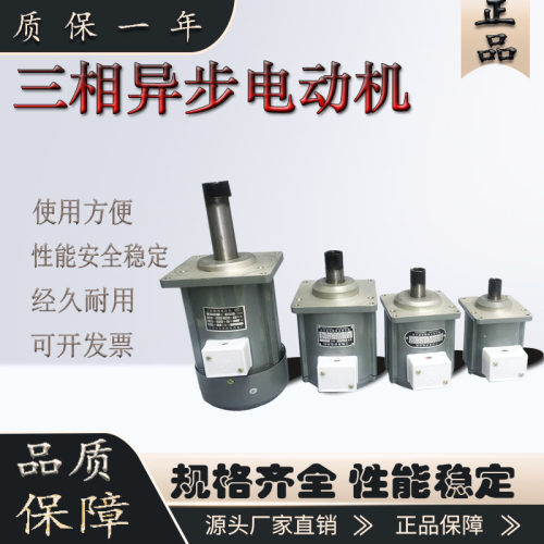 三相异步液压推动器抱闸电机