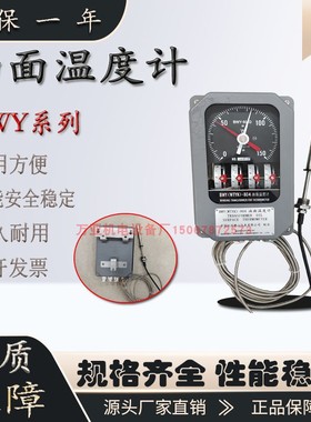 变压器油面温度控制器温控仪温度指示计BWY-804A BWY-804AJ 804AD