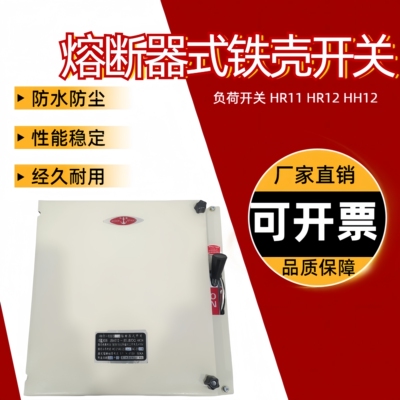 熔断器式负荷开关封闭型铁壳开关