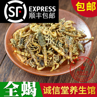 盐水干货500克正品 中药材全蝎干蝎子全虫有蜈蚣 包邮