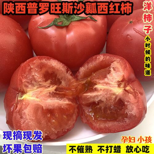 珍妹水果西红柿沙瓤甜新鲜采摘