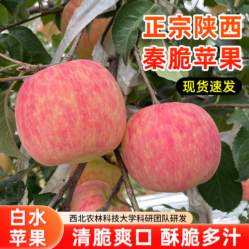 珍妹秦脆苹果甜微酸无添加不打蜡