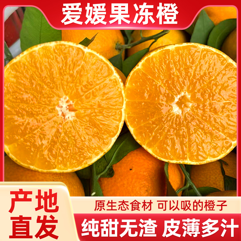 四川爱媛38号果冻橙子当季水果