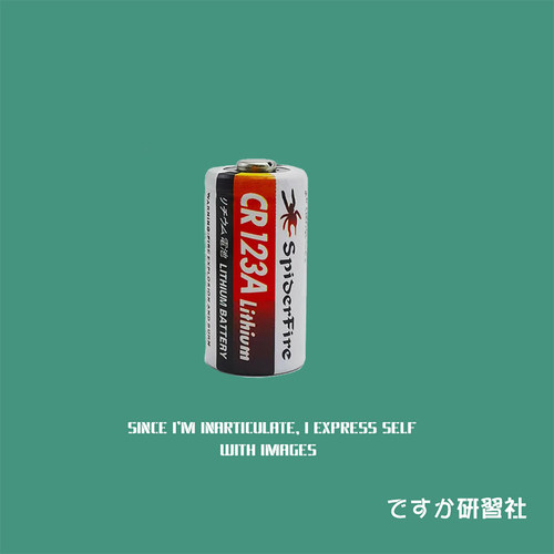 佳能电池适用2胶片相机