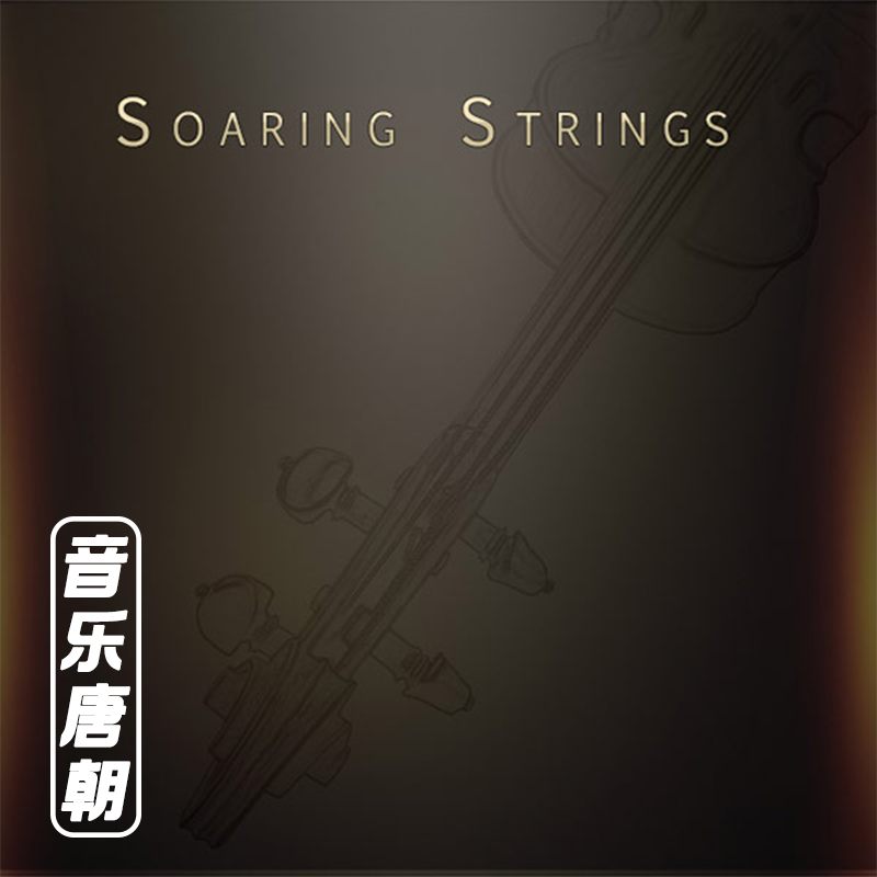 Soaring Strings 飞天弦乐 经典常用弦乐音源