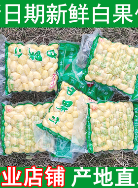 日期新鲜白果仁广西桂林特产银杏肉抽空包装去壳土特产桂林白果肉