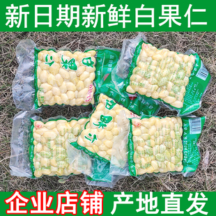 日期新鲜白果仁广西桂林特产银杏肉抽空包装去壳土特产桂林白果肉