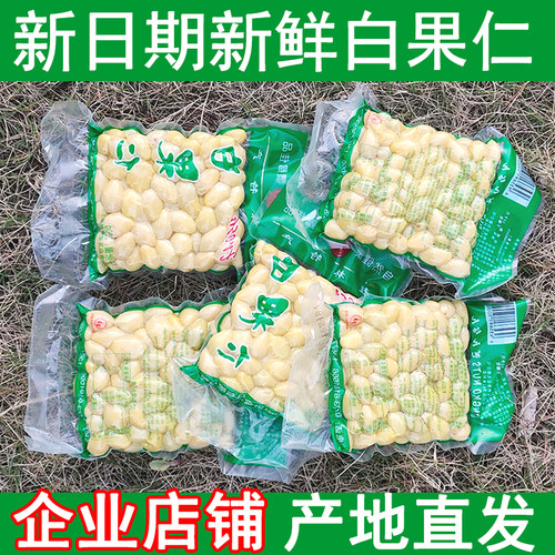 日期新鲜白果仁广西桂林特产银杏肉抽空包装去壳土特产桂林白果肉