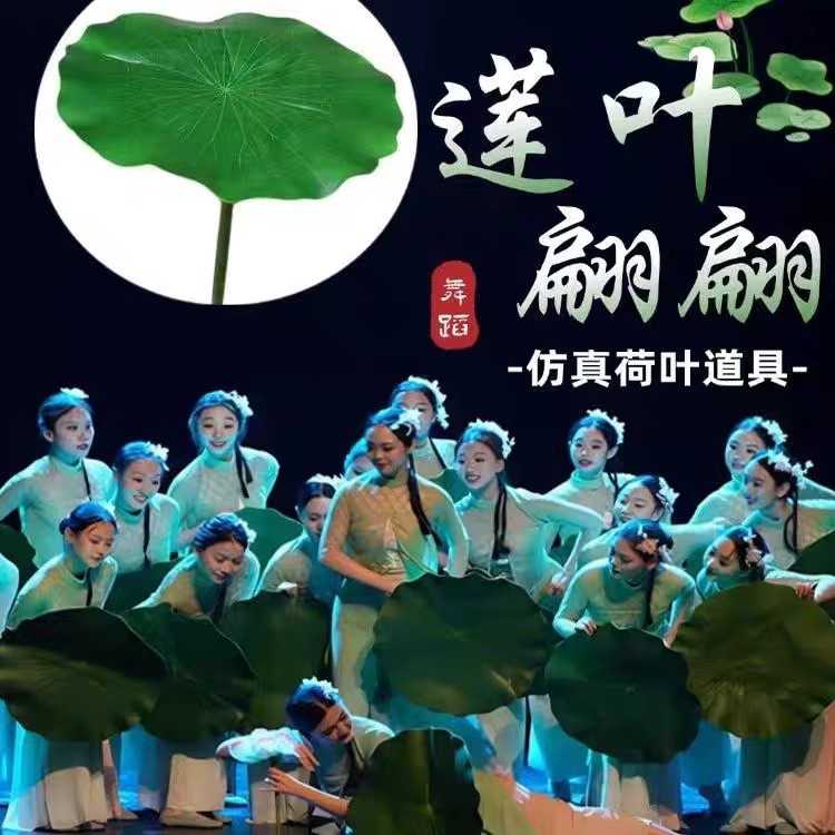 小荷叶古典舞蹈服莲叶翩翩荷花