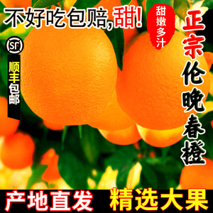 秭归正宗伦晚脐橙水果当季新鲜整箱手剥橙10斤顺丰包邮非果冻橙子