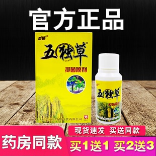 苗锐五独草抑菌喷剂正品皮肤外用五毒草喷雾