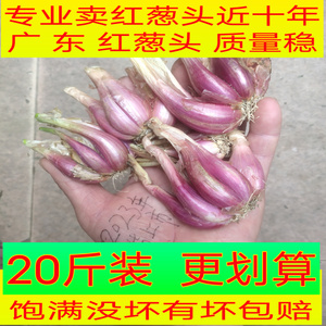 红葱头新鲜广东时令蔬菜