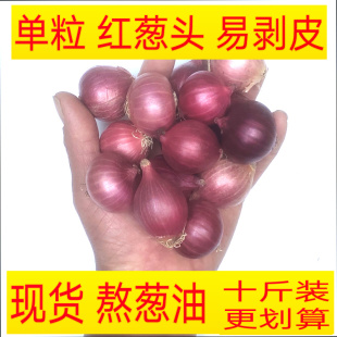 红葱头新鲜小洋葱单粒圆干葱头广东农家熬葱油肠粉卤肉饭一份包邮