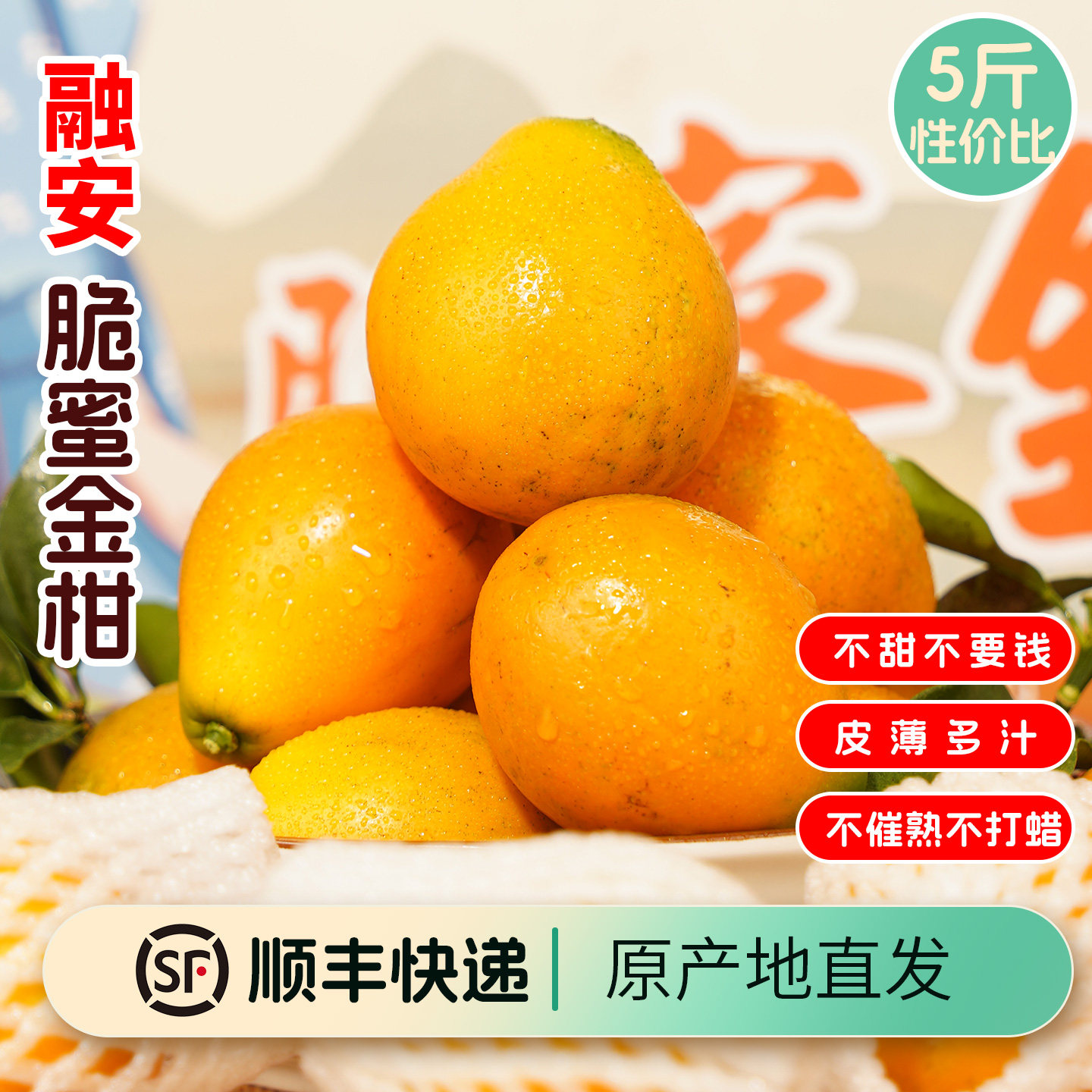 融安第三代脆蜜金柑 纯甜无酸正宗广西金桔新鲜水果树上自然熟,水产肉类/新鲜蔬果/熟食,桔子,淘宝优惠券,粉丝福利购,淘宝优惠卷