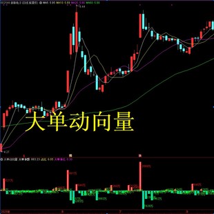 通达信大单动向量监控大单资金流向的指标 引用L2数据适合可转债