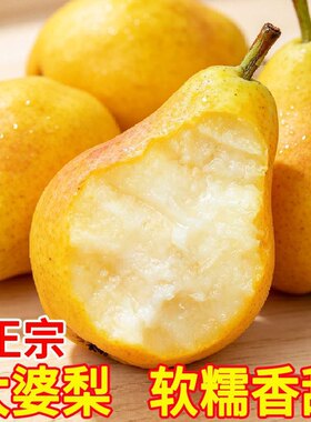山东太婆梨子新鲜水果当季梨子红啤梨烟台大头梨丑梨新鲜中华丑梨