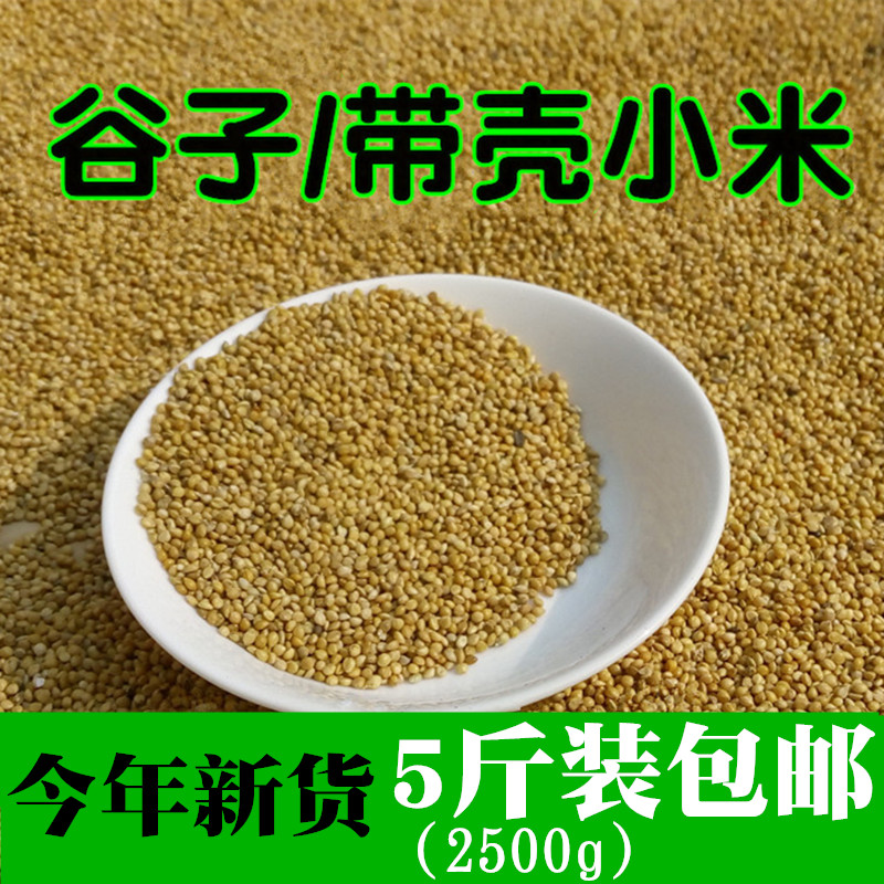 新谷子 带壳小米 优质饱满的谷子 鸟食鸟粮鸟饲料 2500克