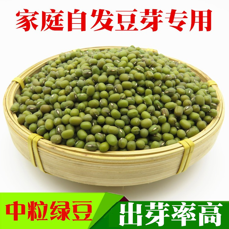 新绿豆发豆芽专用绿豆非转基因绿豆汤豆粥发绿豆芽芽苗菜包邮