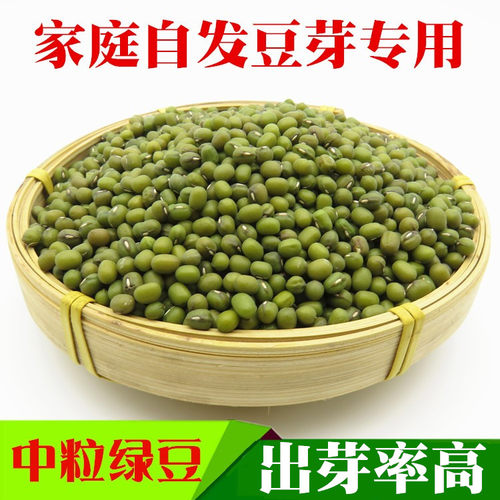新绿豆发豆芽专用绿豆自制豆芽绿豆汤豆粥发绿豆芽芽苗菜包邮