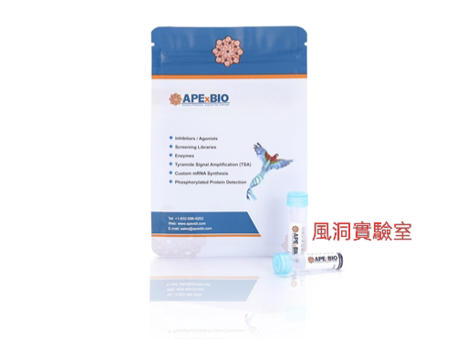 APExBIO 蛋白酶抑制剂Cocktail(EDTA-Free,100X in DMSO)K1007