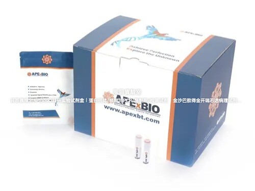 APExBIO 通用型预染蛋白marker(三色，不含EDTA，10-250kDa) 标准