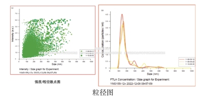 umibio®MSC细胞外泌体-人,NK细胞外泌体-人MSC/NK Cell-Exosomes