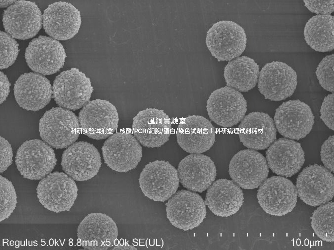 AIE科研化学发光磁珠 链霉亲和素修饰的1μm/2.8μm化学发光磁珠