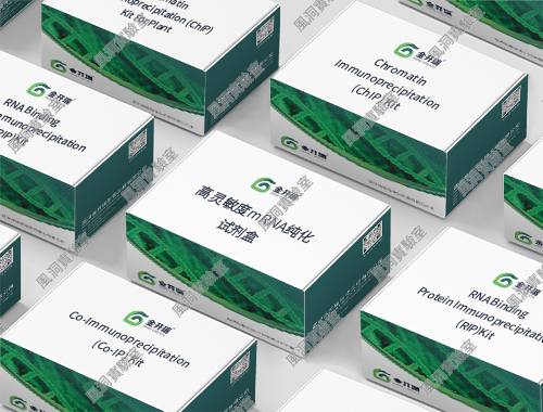 金开瑞高灵敏度mRNA纯化试剂盒 从总RNA快速分离高纯度和完整mRNA