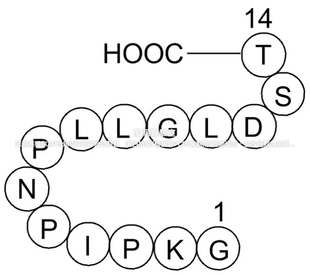 APExBIO V5 Epitope Tag Peptide,V5标签肽,即GKPIPNPLLGLDST肽