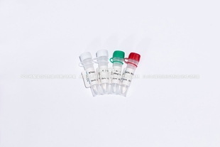 BIOG微生物RNA逆转录试剂盒,超级逆转录酶,RNA逆转录所需全部成分