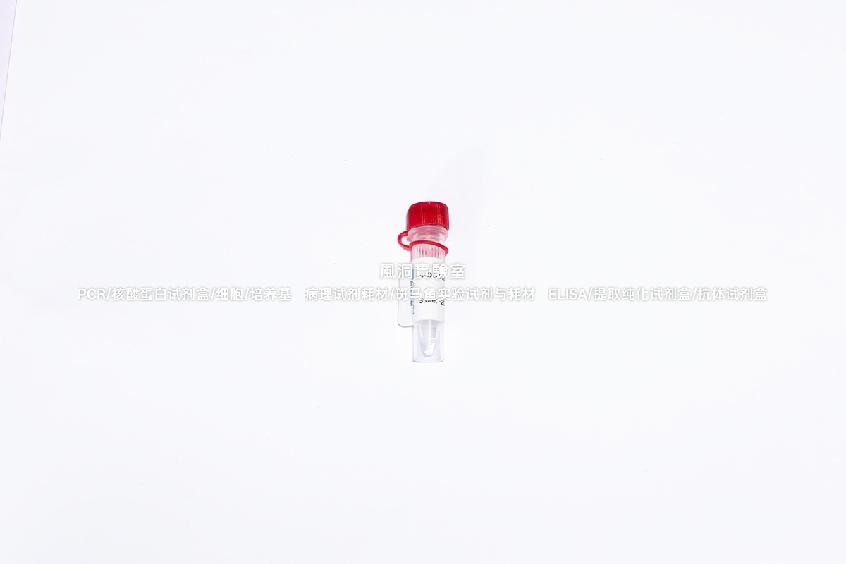 BIOG Patent RT Enhancer,BIOG专利活素,显著提升RT反应转化效率