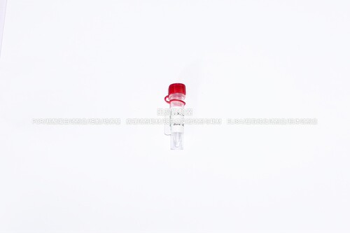 BIOG蛋白酶K溶液,不含DNase和RNase,广泛用于各种DNA/RNA高效提取